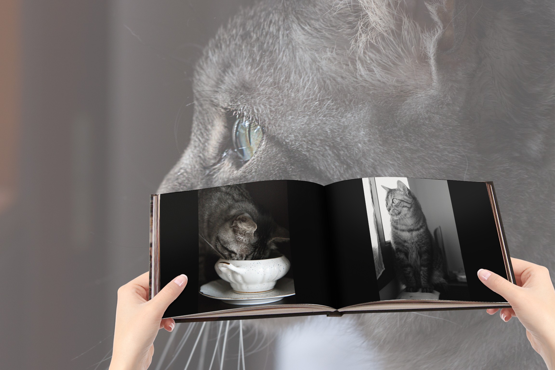 Pet Photo Books | PastBook Website